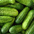 Cucumber Extract